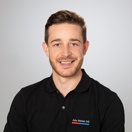 Pinto MA Aufbereitung